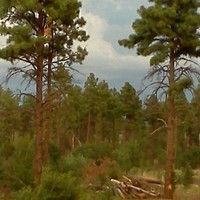 Profile Picture of David Mollenhauer (@david-mollenhauer) on Quora