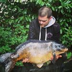 Profile Picture of Michael Whitney (@michaelwhitneycarper) on Instagram