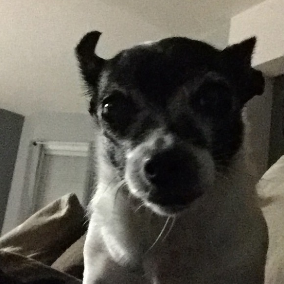 Profile Picture of Aixa Torres (@stuff0708) on Poshmark