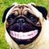 Profile Picture of Lee Whalen (@@katchupnpickles) on Tiktok