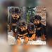 Profile Picture of Ronald Honeycutt (@ronald.honeycutt.161) on Facebook