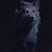 Profile Picture of Wayne Sipe (@hunter.coffee.104) on Facebook