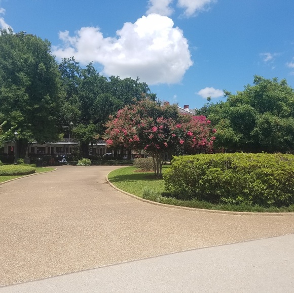 Profile Picture of Jancie Lagamba (@jpl05) on Poshmark