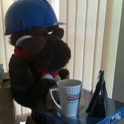 Profile Picture of Christopher Hume (@NI_Moose) on Twitter