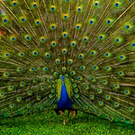 Profile Picture of Dineshgeetha23 (@dineshgeetha23) on Flickr