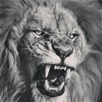 Profile Picture of adamastos (@derungebaendigte) on Instagram