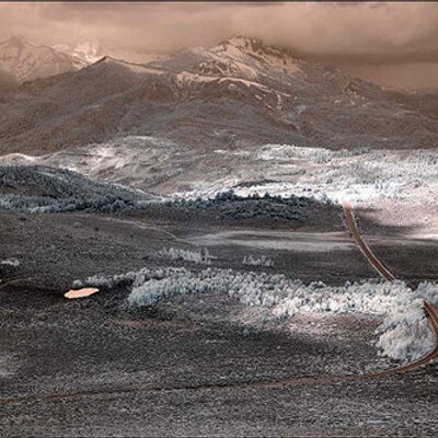 Profile Picture of Raina Hayes (@@rainahayes) on Twitter