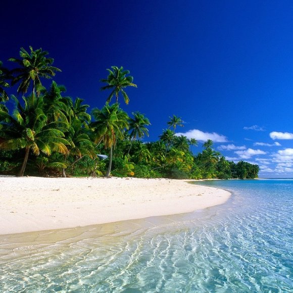 Profile Picture of Leila Mhamdi (@mhamdi_leila) on Poshmark