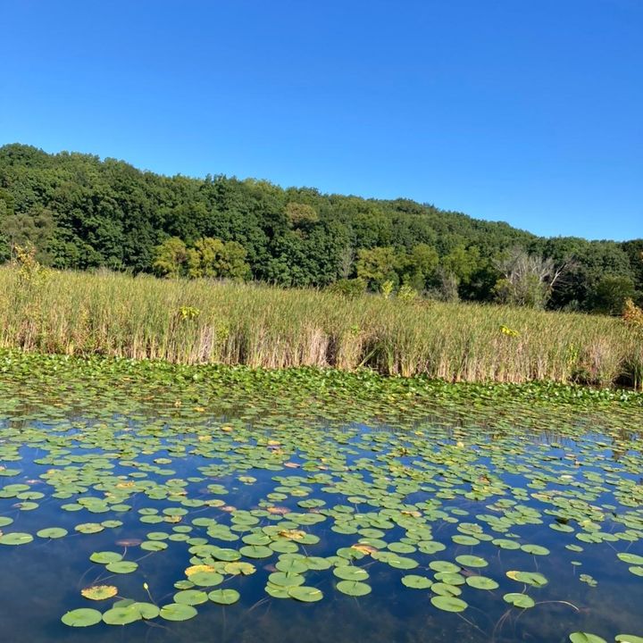 Profile Picture of Tammy (@tammyfus) on Tiktok