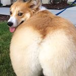 Profile Picture of David Jakeman (@david_jakeman123) on Instagram