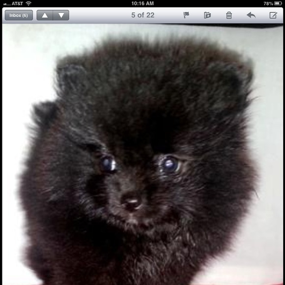 Profile Picture of Sylvia Shoen (@yesican2013) on Poshmark