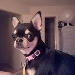 Profile Picture of Ellis Varnado (@evarnado1970) on Instagram