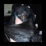 Profile Picture of Faye Panichello (@faye.panichello) on Facebook