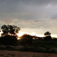 Profile Picture of Daniel Gordillo (@danielg0407) on Twitter