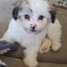 Profile Picture of Christy Markovitz (@christymarkovitz) on Pinterest