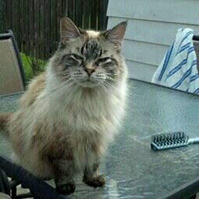 Profile Picture of Shawn Carnes (@getwaxxed16) on Twitter