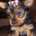 Profile Picture of Buddy Ledbetter (@buddy.ledbetter) on Facebook