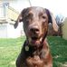 Profile Picture of Tyler Giesbrecht (@tyler.giesbrecht.98) on Facebook