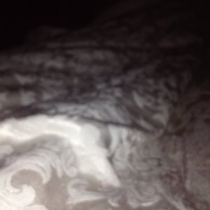 Profile Picture of Andrea Michelle Moise (@andreaax3_) on Myspace