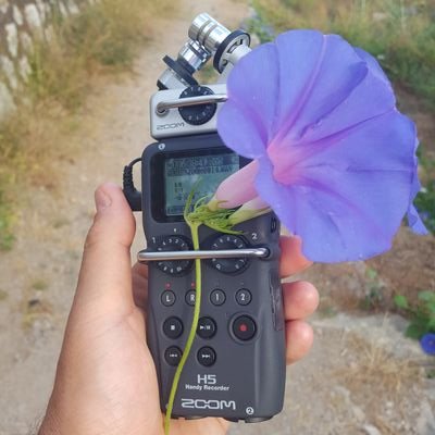 Profile Picture of Mark Burman (@markaburman) on Twitter