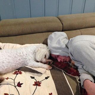 Profile Picture of Michael Kassof (@michael.kassof) on Facebook