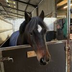 Profile Picture of Isla richardson (@isla_richardsonn) on Instagram