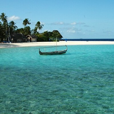 Valeria Diaz - Twitter Profile Picture of Valeria Diaz (@Violet_Dzednem) on Twitter