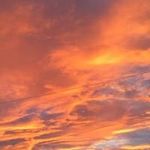 Profile Picture of Joyce Murphy (@murphyj11) on Instagram