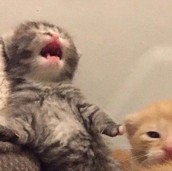 Profile Picture of Ruby Le (@rubyle77) on Poshmark