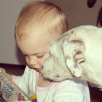 Profile Picture of David Musacchio (@davidmusacchio) on Instagram