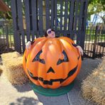 Profile Picture of Candice VanKannel Werner (@candice.v.werner) on Facebook