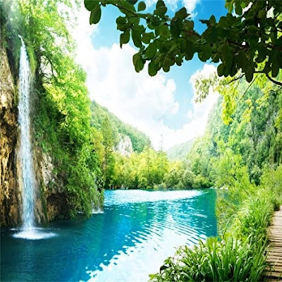 Profile Picture of Ayesha Feroze (@ferozeayesha90) on Poshmark