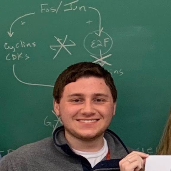 Profile Picture of Lucas Romano (@lromano98) on Poshmark