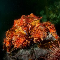 Profile Picture of Richard Salas (@richard-salas-9) on Quora