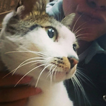 Profile Picture of Wei Tzu Peng (@edithpeng) on Flickr