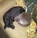Profile Picture of Norma Holt (@Norma-Holt) on Facebook