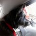Profile Picture of Joe Stengele (@joe.stengele.3) on Facebook