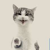 Profile Picture of Daniel Warren (@danielwarren4842) on Youtube