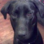 Profile Picture of Keith McQueen (@keithm8) on Instagram