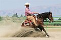 Profile Picture of Reining - Wikipediaon Wikipedia