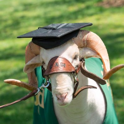 Profile Picture of Kyle Saunders (@CSURamsFAR) on Twitter