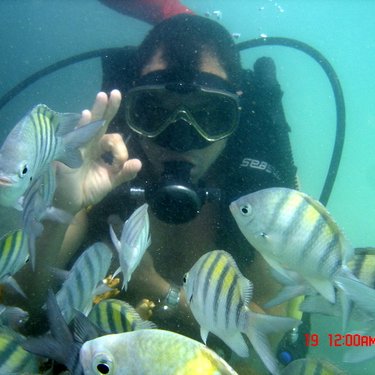 Profile Picture of Denis Brandao (@@DenisCSBrandao) on Twitter