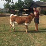 Profile Picture of Grant Ryder Tinkis (@grant_longhorns) on Instagram