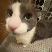 Profile Picture of Yiqi (@yxqi) on Youtube