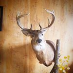 Profile Picture of Brent Epp (@160buck1) on Instagram