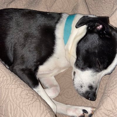 Profile Picture of Penny Vaughn (@PennyVa42729340) on Twitter