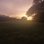 Profile Picture of Hazel roach (@hajohroa) on Instagram