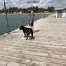 Profile Picture of Sheila Clink (@sclink64) on Pinterest