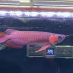 Profile Picture of Jason Wong (@Jason-Wong) on Facebook