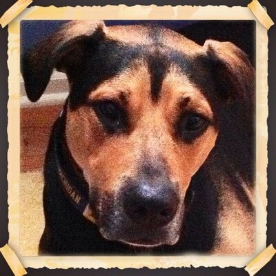 Profile Picture of Scott Deane (@scottdeane14) on Twitter